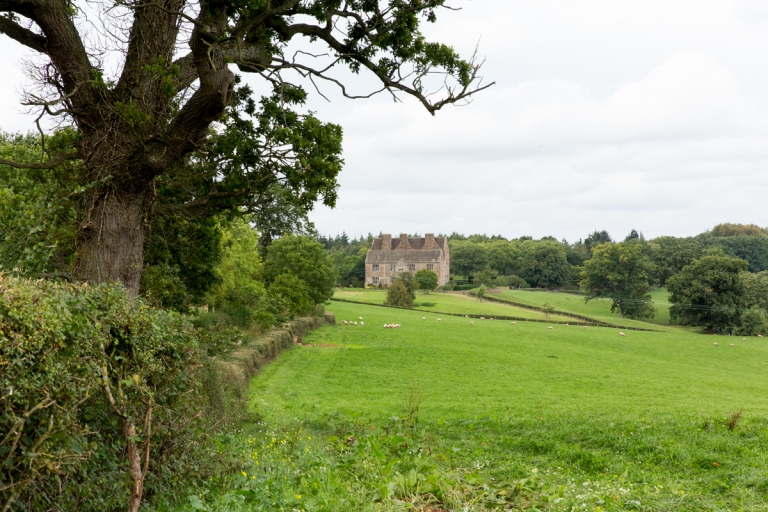 Wedding photographer at Treowen House, near Cardiff in Wales